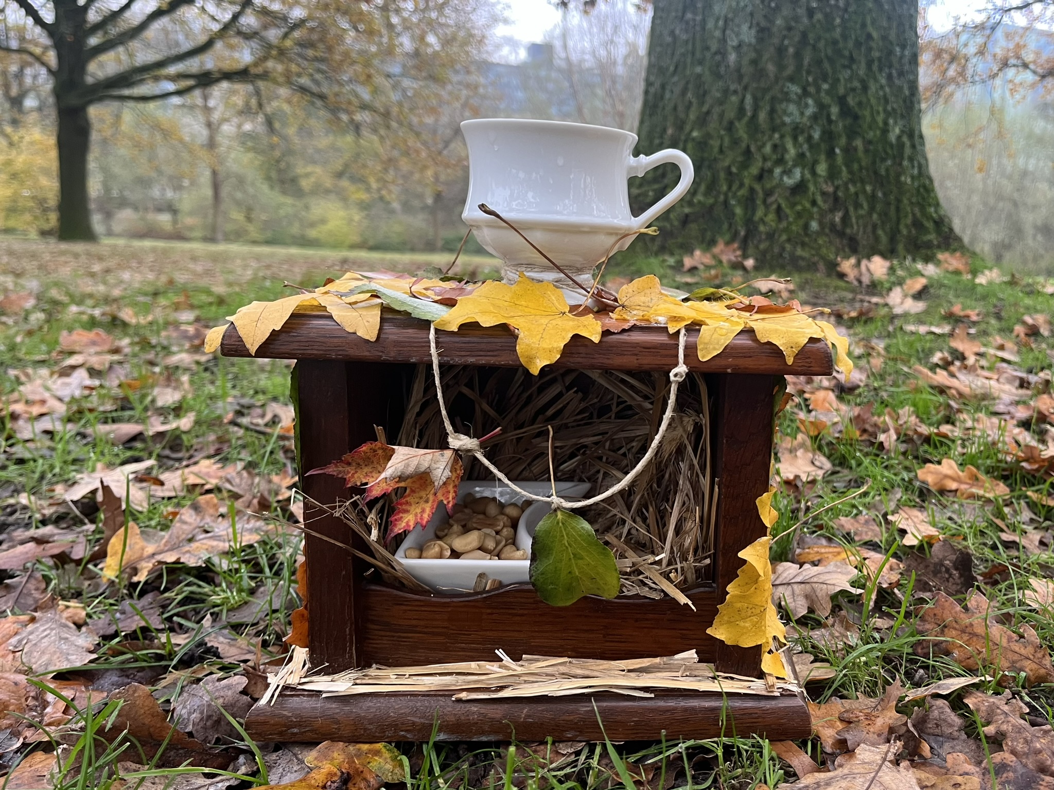 Upcycled birdhouse (MoT)